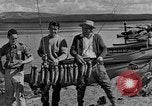 Image of tourists and wildlife Wyoming United States USA, 1936, second 9 stock footage video 65675050294