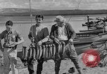 Image of tourists and wildlife Wyoming United States USA, 1936, second 10 stock footage video 65675050294