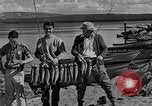 Image of tourists and wildlife Wyoming United States USA, 1936, second 11 stock footage video 65675050294