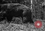 Image of tourists and wildlife Wyoming United States USA, 1936, second 58 stock footage video 65675050294