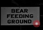 Image of Grizzly bears Wyoming United States USA, 1936, second 1 stock footage video 65675050299