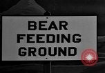 Image of Grizzly bears Wyoming United States USA, 1936, second 3 stock footage video 65675050299
