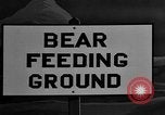 Image of Grizzly bears Wyoming United States USA, 1936, second 4 stock footage video 65675050299