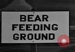 Image of Grizzly bears Wyoming United States USA, 1936, second 5 stock footage video 65675050299