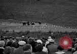 Image of Grizzly bears Wyoming United States USA, 1936, second 6 stock footage video 65675050299