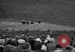 Image of Grizzly bears Wyoming United States USA, 1936, second 8 stock footage video 65675050299