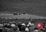 Image of Grizzly bears Wyoming United States USA, 1936, second 9 stock footage video 65675050299