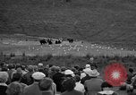 Image of Grizzly bears Wyoming United States USA, 1936, second 10 stock footage video 65675050299