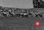 Image of Grizzly bears Wyoming United States USA, 1936, second 37 stock footage video 65675050299