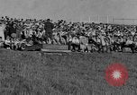 Image of Grizzly bears Wyoming United States USA, 1936, second 41 stock footage video 65675050299