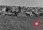 Image of Grizzly bears Wyoming United States USA, 1936, second 42 stock footage video 65675050299