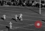 Image of Football game Boston Patriots defeat Buffalo Bills Boston Massachusetts USA, 1966, second 25 stock footage video 65675050309