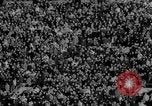 Image of Football game Boston Patriots defeat Buffalo Bills Boston Massachusetts USA, 1966, second 36 stock footage video 65675050309