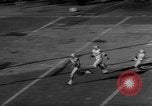 Image of Football game Boston Patriots defeat Buffalo Bills Boston Massachusetts USA, 1966, second 51 stock footage video 65675050309