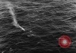 Image of search and rescue Aegean sea, 1966, second 49 stock footage video 65675050310