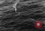 Image of search and rescue Aegean sea, 1966, second 50 stock footage video 65675050310