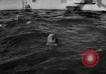 Image of Risso's Dolphins Florida United States USA, 1966, second 10 stock footage video 65675050311
