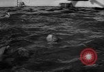 Image of Risso's Dolphins Florida United States USA, 1966, second 12 stock footage video 65675050311