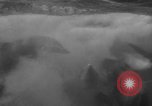 Image of Risso's Dolphins Florida United States USA, 1966, second 17 stock footage video 65675050311