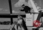 Image of Risso's Dolphins Florida United States USA, 1966, second 57 stock footage video 65675050311