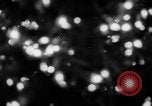 Image of Christmas Lights and decorations New York City USA, 1966, second 6 stock footage video 65675050312