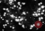 Image of Christmas Lights and decorations New York City USA, 1966, second 7 stock footage video 65675050312
