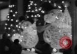 Image of Christmas Lights and decorations New York City USA, 1966, second 20 stock footage video 65675050312