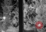 Image of Christmas Lights and decorations New York City USA, 1966, second 27 stock footage video 65675050312