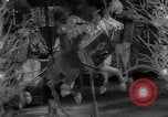 Image of Christmas Lights and decorations New York City USA, 1966, second 32 stock footage video 65675050312