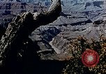 Standbild Tourist Bus United States USA, 1942, aus Sekunde 15 historischem Filmmaterial Videoclip 65675050314