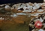 Image of Natural Bridge Virginia United States USA, 1942, second 51 stock footage video 65675050318