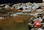 Image of Natural Bridge Virginia United States USA, 1942, second 56 stock footage video 65675050318