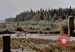 Image of Lake Itasca Minnesota United States USA, 1942, second 19 stock footage video 65675050328