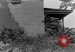 Image of Mark VIII tank demonstration Maryland United States USA, 1925, second 22 stock footage video 65675050335