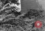 Image of Mark VIII tank demonstration Maryland United States USA, 1925, second 29 stock footage video 65675050335