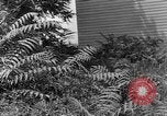 Image of Mark VIII tank demonstration Maryland United States USA, 1925, second 30 stock footage video 65675050335