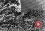 Image of Mark VIII tank demonstration Maryland United States USA, 1925, second 31 stock footage video 65675050335