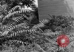Image of Mark VIII tank demonstration Maryland United States USA, 1925, second 33 stock footage video 65675050335