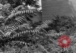 Image of Mark VIII tank demonstration Maryland United States USA, 1925, second 37 stock footage video 65675050335