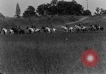 Image of US Army Artillery demonstration Maryland United States USA, 1925, second 4 stock footage video 65675050344
