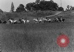 Image of US Army Artillery demonstration Maryland United States USA, 1925, second 6 stock footage video 65675050344