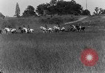 Image of US Army Artillery demonstration Maryland United States USA, 1925, second 7 stock footage video 65675050344