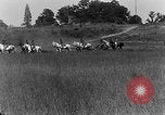 Image of US Army Artillery demonstration Maryland United States USA, 1925, second 8 stock footage video 65675050344