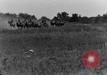 Image of US Army Artillery demonstration Maryland United States USA, 1925, second 20 stock footage video 65675050344