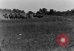 Image of US Army Artillery demonstration Maryland United States USA, 1925, second 21 stock footage video 65675050344