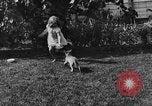 Image of lion cubs Petaluma California USA, 1929, second 21 stock footage video 65675050356
