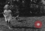 Image of lion cubs Petaluma California USA, 1929, second 22 stock footage video 65675050356