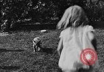 Image of lion cubs Petaluma California USA, 1929, second 24 stock footage video 65675050356