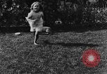 Image of lion cubs Petaluma California USA, 1929, second 26 stock footage video 65675050356