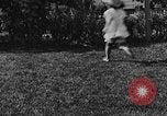 Image of lion cubs Petaluma California USA, 1929, second 28 stock footage video 65675050356